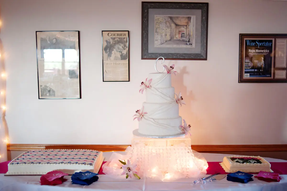 Wedding at Valiant Vineyards